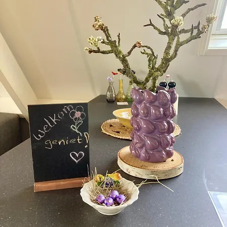 De Hoftuin Apartment *