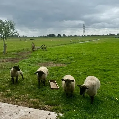 Апартаменты De Hoftuin
