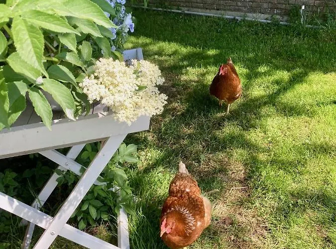 Appartement De Hoftuin Ilpendam