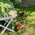 Appartement De Hoftuin Ilpendam