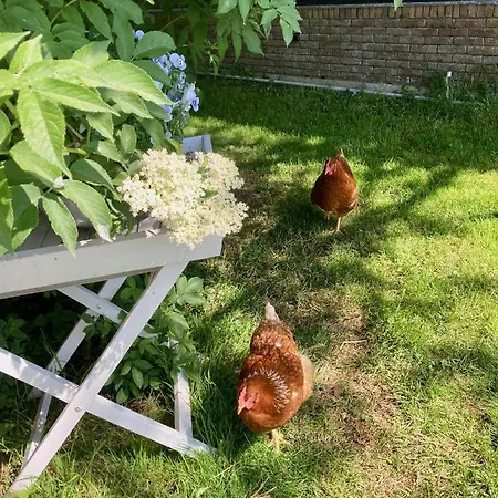Apartman De Hoftuin Ilpendam
